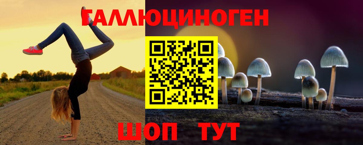 Псилоцибиновые грибы Cubensis  Вход с VPN  Псилоцибиновые грибы Psilocybe  наркота  Калининград 